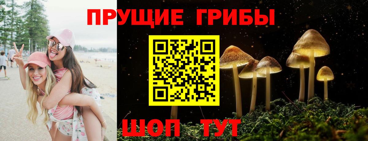 даркнет сайт  Вход с VPN  Новочеркасск  Псилоцибиновые грибы прущие грибы 